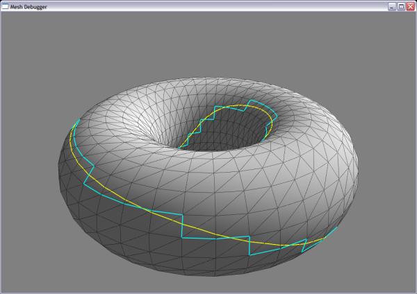 Torus mesh